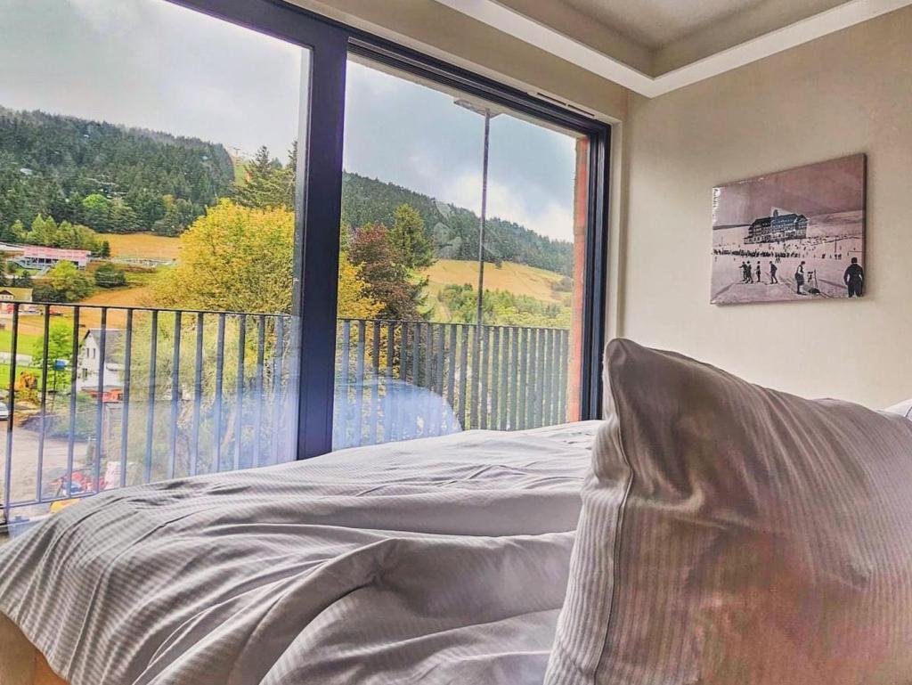 Summit of Saxony, city – Logis-Partner Stoneman Miriquidi Snow